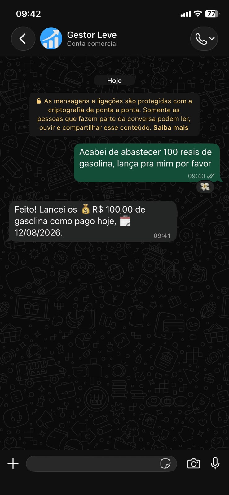 Tela de registro de nova despesa no sistema Gestor Leve